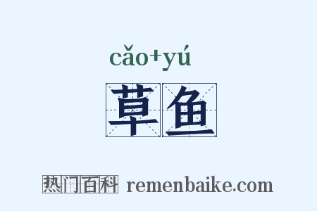草鱼是什么意思的图片